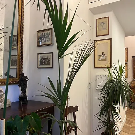 Belle Arti Home-2